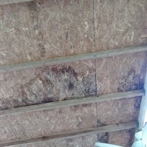 The Casa Grande Patio