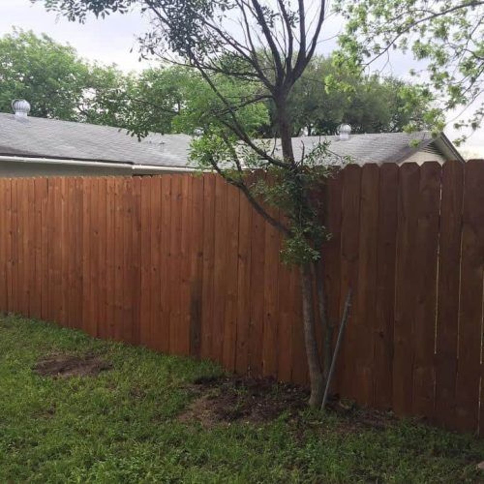 The Moreno Fence