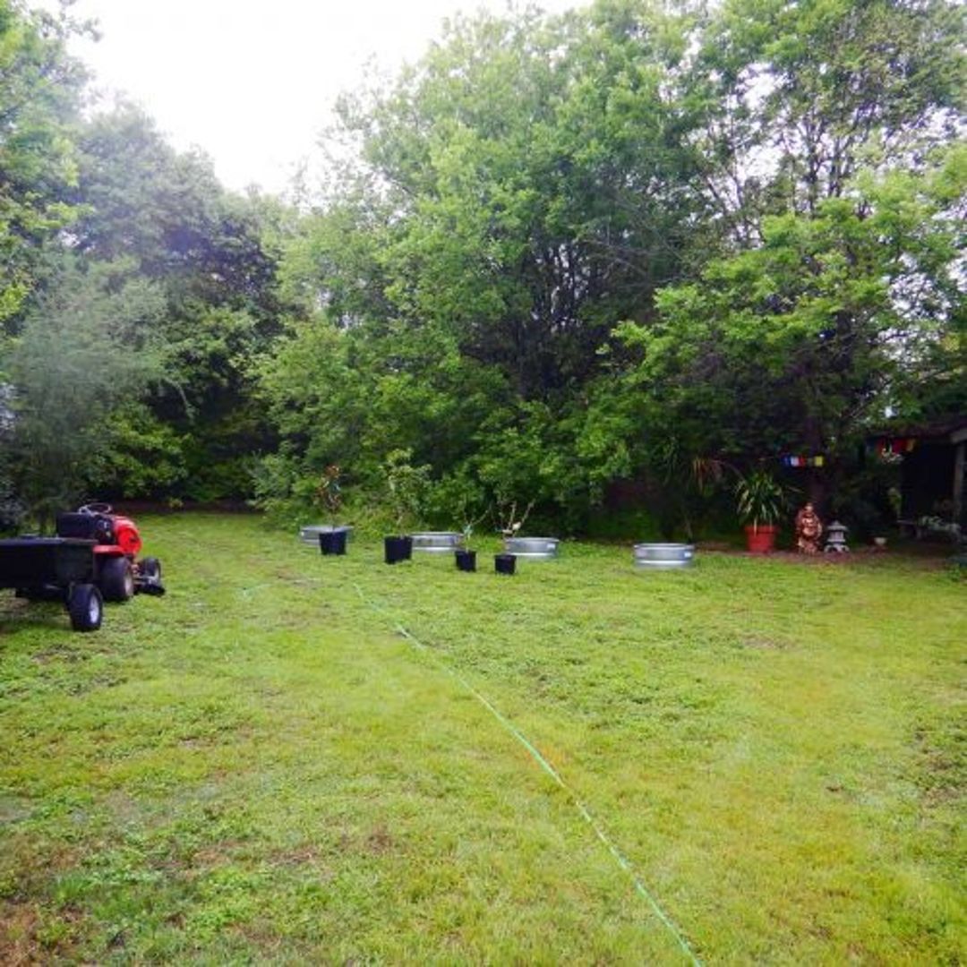 Martin Tree Planting gallery image 2