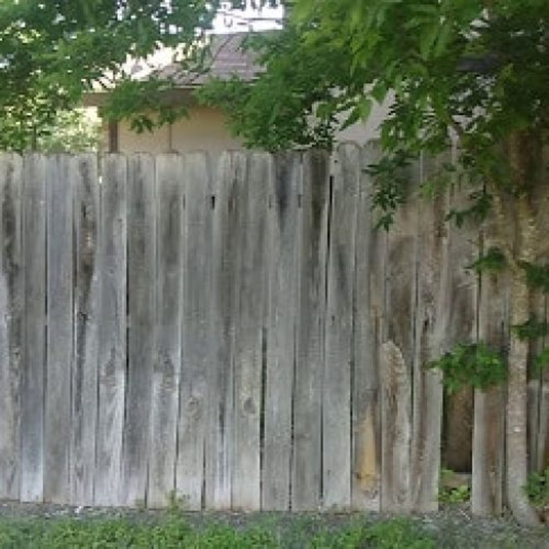 The Sosa Fence gallery image 2